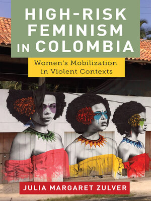 cover image of High-Risk Feminism in Colombia